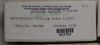 Image Associated With the Occurence